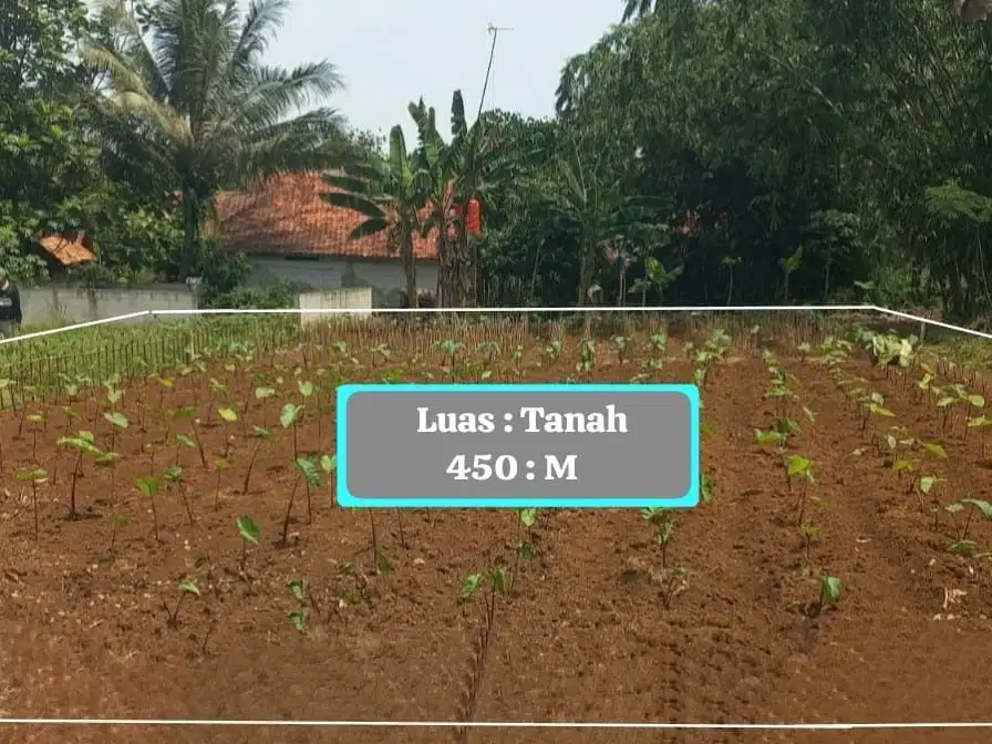 TANAH MURAH DAN DATAR STRATEGIS DI DESA CANDALI KABUPATEN BOGOR