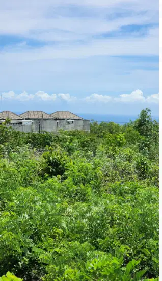 Tanah sewa view laut  area villa di ungasan