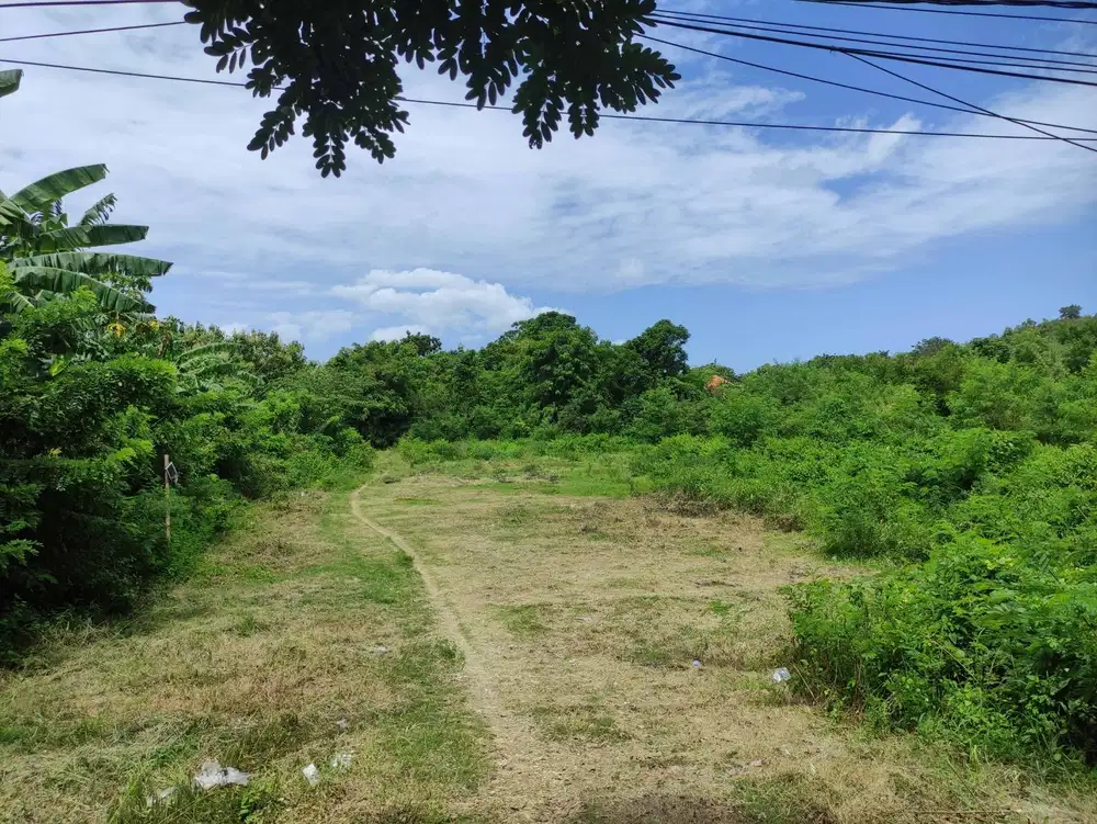 Disewakan Tanah Di Jalan Utama Uluwatu I Jimbaran