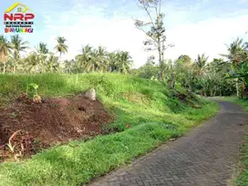 Dijual Tanah Sawah  Produktif Murah di Jambesari - Giri , Banyuwangi