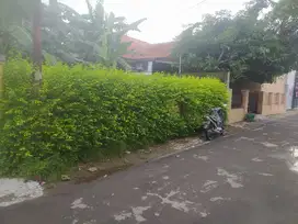 Pekarangan Ideal Dekat Jl Adi Sucipto Solo Colomadu