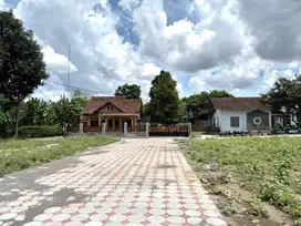 Jual Murah Tanah Sleman, 5 Menit Kota Yogyakarta