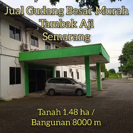 Jual Gudang Besar 14.800 meter Tambak Aji Semarang Barat