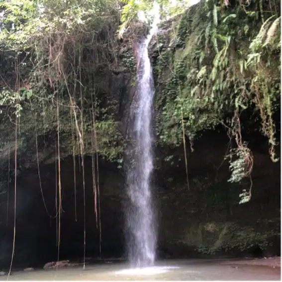 Jarang Ada Tanah Los air sungai air terjun di Bali