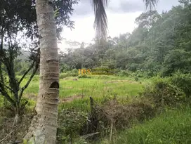 Tanah Kosong Dijual di Desa Bengkurung, Jalan Sembahe - Namorambe