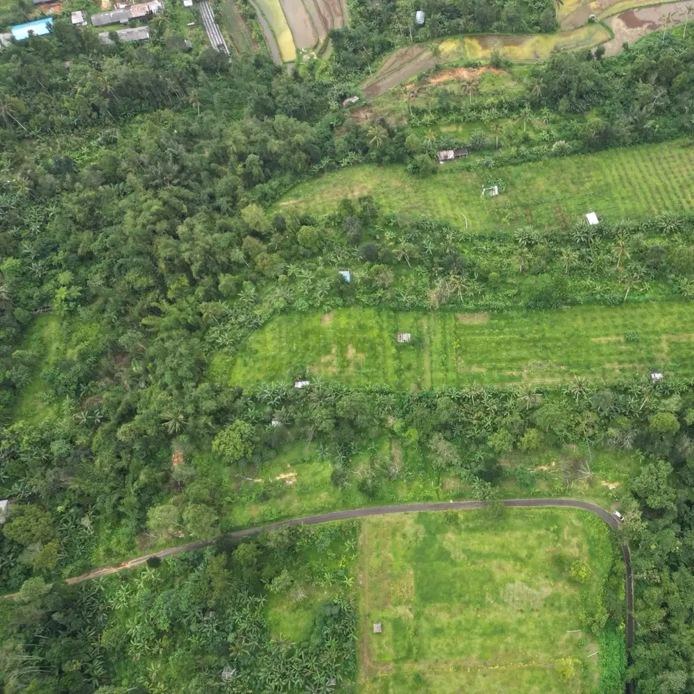 Dijual Cepat Murah Tanah Kavling Di Soka Tabanan Straategis