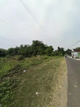 TANAH PADAT SIAP BANGUN  SUMBER WONO - BANGSAL  MOJOKERTO