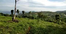 Tanah kebun 10 Ha, SHM, msk mobil cimungkal