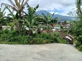 Dijual tanah tawangmangu