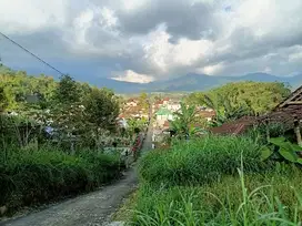 Dijual tanah murah ditawangmangu
