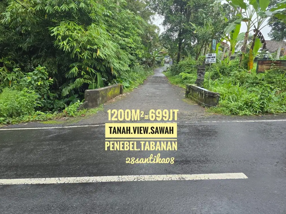 Jual Tanah view sawah cck Vila kebun cafe penebel tabanan bali