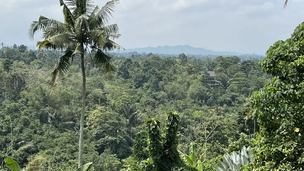 Di jual tanah view gunung dan lembah cocok untuk villa atau hunian