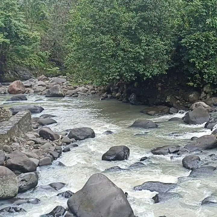 di jual tanah zona kuning view sawah los sungai besar