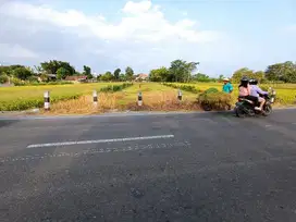 Tanah Murah Jogja dijual cepat dekat SMA N 1 GODEAN , SHM P