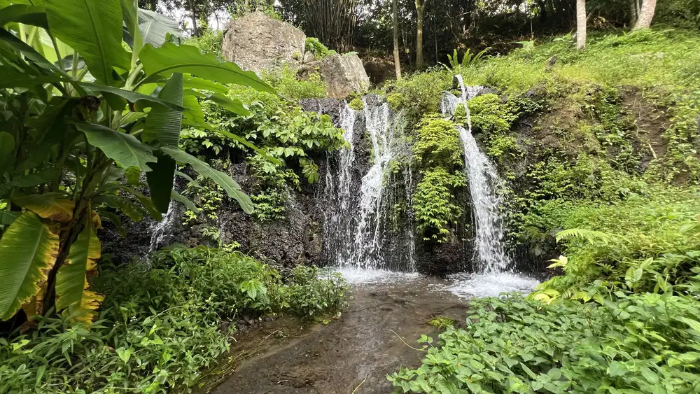 Di jual tanah dengan 4 sumber mata air di tabanan