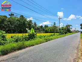 Dijual Tanah Prospek di dekat Calon Kampus ITS NU Banyuwangi