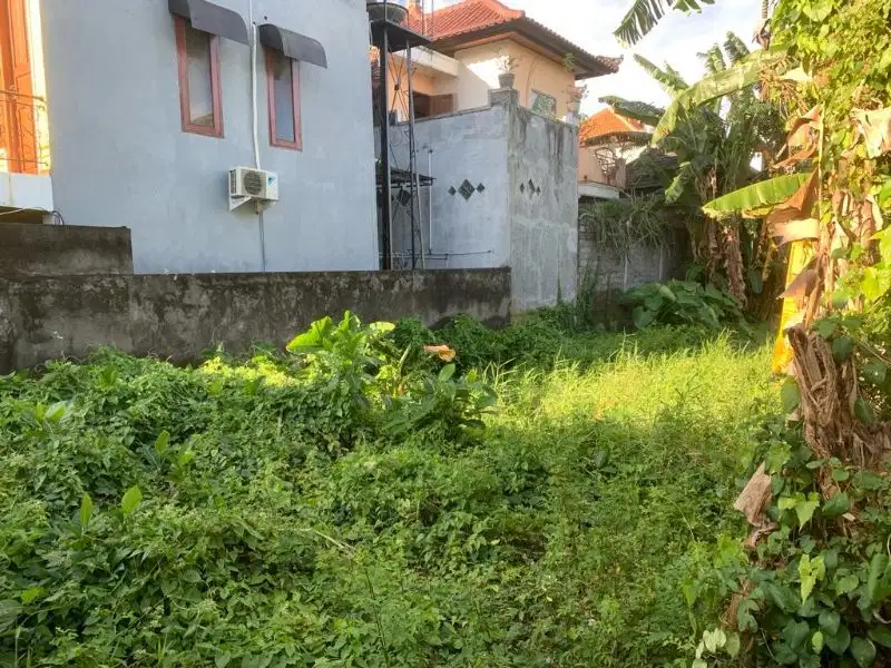 Tanah view sawah cocok untuk hunian pribadi dan kos kosan