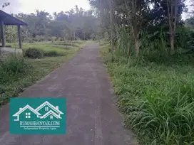 Mendesak, BU! Jual Tanah Pekarangan Murah Di Cangkringan, 500 ribuan