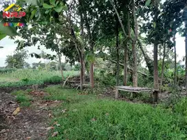 Dijual Tanah Kavling Siap Bangun Di Belakang Hotel Santika Banyuwangi