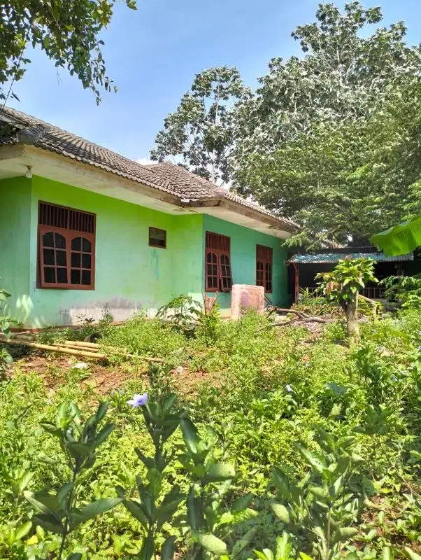 DIJUAL CEPAT RUMAH LUAS TANAH 500M2 PALING MURAH DI BEJI