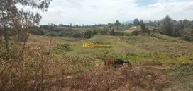 Dijual Tanah Daerah Gajapokki, Saribu Jandi - Simalungun