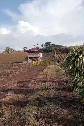 Dijual Tanah di Jalan Sinaman - Kec. Barusjahe, Karo