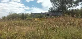 Dijual Tanah Daerah Gajapokki (+/- 3,7 Km dari GKPS Ujung Purba)