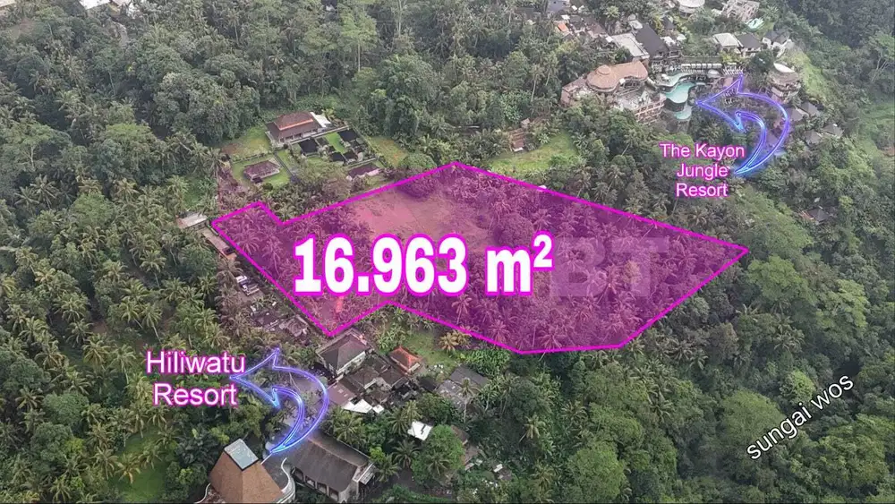 Tanah Murah View Jungle dan Los Sungai Wos Bresela Payangan