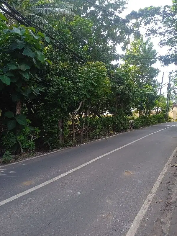 disewakan tanah dekat pantai Balangan Badung Bali