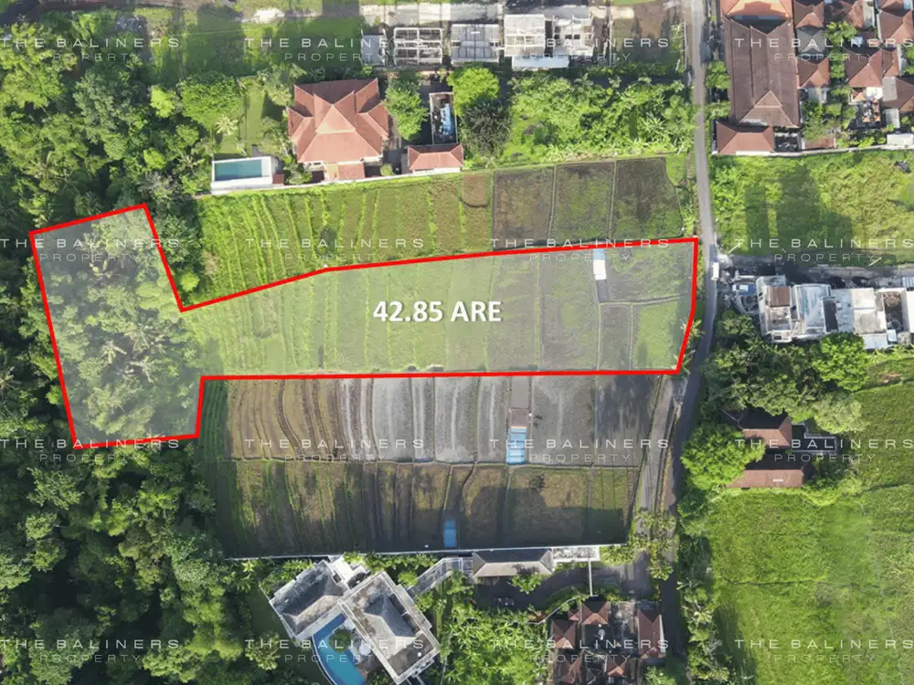 IDYLLIC DEVELOPMENT LAND AMIDST RICE FIELDS IN BUWIT, TABANAN