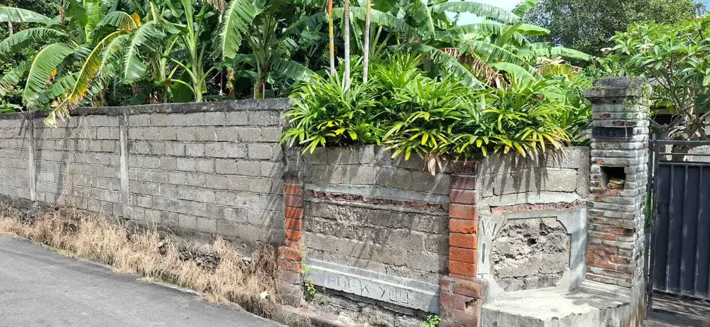 Jual Tanah luas 1are/100m² Lokasi jl Utama Induk tempe Denpasar