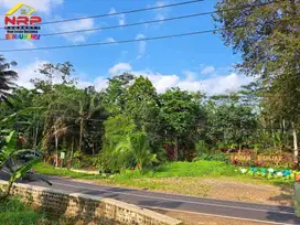 Dijual Tanah Strategis di Tepi Jl. Raya Litjen - Banyuwangi