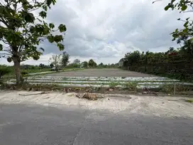 Tanah murah Sleman 2 jtan dekat UII Kaliurang cocok hunian dan villa