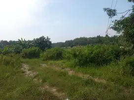 DIJUAL TANAH UNTUK INDUSTRI DI GROBOGAN