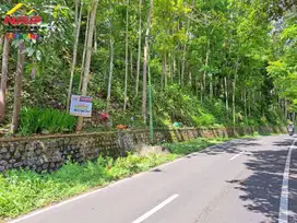Dijual Tanah Kebun dan Sawah Strategis di Tepi Jl. Raya Litjen Bwi