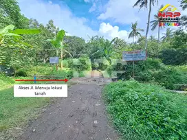 Dijual tanah kebun luas under 100rb per meter di Dadapan Banyuwangi