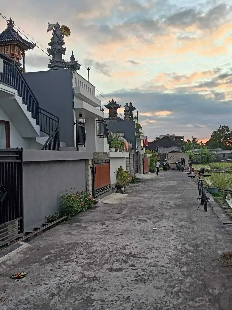 DIJUAL RUMAH BARU VIEW SAWAH LOKASI DENPASAR TIMUR