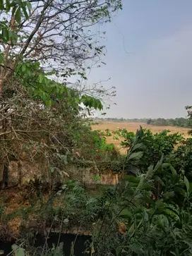 Dijual tanah di jl pemda tigaraksa.kabupaten tangerang