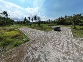 Tanah Strategis Area Wates Jogja Barat SHM Dekat Kampus UAD 6