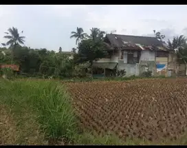 Di jual tanah dan sawah berikut bangunan di Bangbayang sukabumi