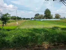 Tanah murah lokasi Wonosari Klaten, timur RSU PKU Muhammadiyah