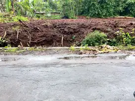 Dijual tanah didekat jalan raya batujamus