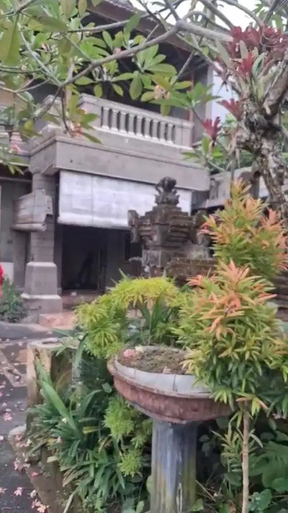 BUC Rumah 3are Pinggir Jalan Suradipa Peguyangan