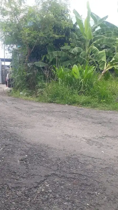 Di kontrakan tanah  jalan Sedap malam, Denpasar, Bali