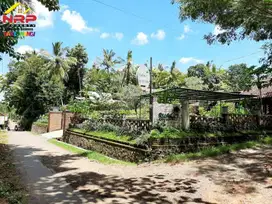 Dijual MURAH Restoran, Home Stay dan Gues House di Glagah - Banyuwangi