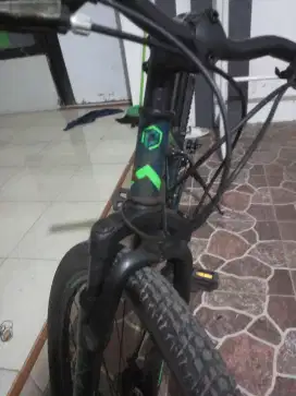 Polygon Monarch Junior
