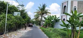 Dekat Kampus Sadhar 3, Akses Jalan Utama Truk Papasan