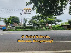 Dijual Tanah Strategis jalan Provinsi di Bulusan Banyuwangi