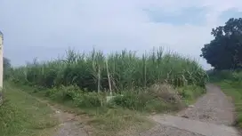 Lahan 2000m² SHM Belakang SMP Ngasem – Akses Mobil – Lokasi Strategis