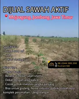 Tanah Sawah Aktif Produktif Raya Propinsi Mojoagung Jombang Jawa Timur